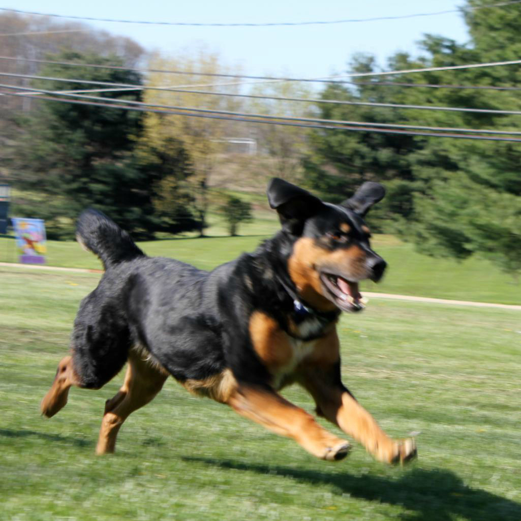 6to9ZxgBSFiZFqCe5jSS_Flying Munich Square-L.jpg